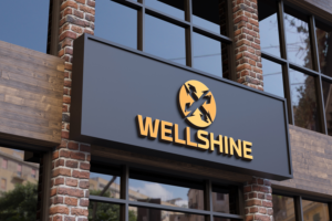 WellShine | Logo Design by makerlogoz