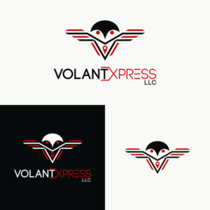 VolantXpress LLC | Logo Design by agung 25