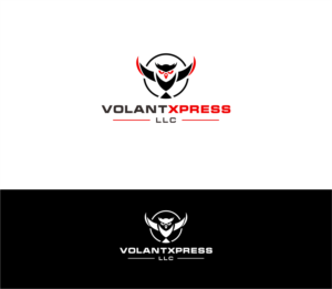 VolantXpress LLC | Logo Design by Gree™