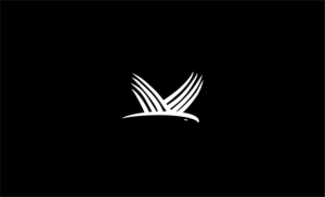 Logo Design by LogoProfi100 for FLYNOW | Design #27079530