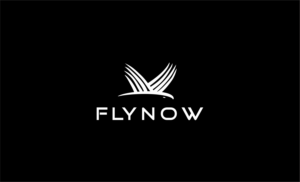 Logo-Design von LogoProfi100 für FLYNOW | Design: #27079532