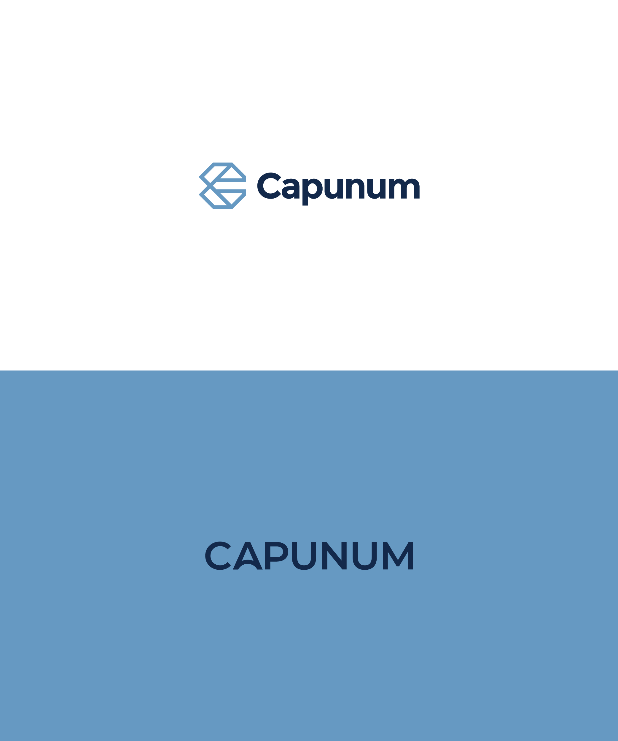 Logo Design by Lia Design for Capunum | Design #27121680