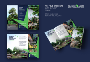 Brochure Design by creativeavijit