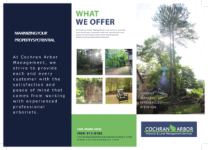 Design de Brochure par Sandip 6 pour Cochran Arbor Management | Design #27116676