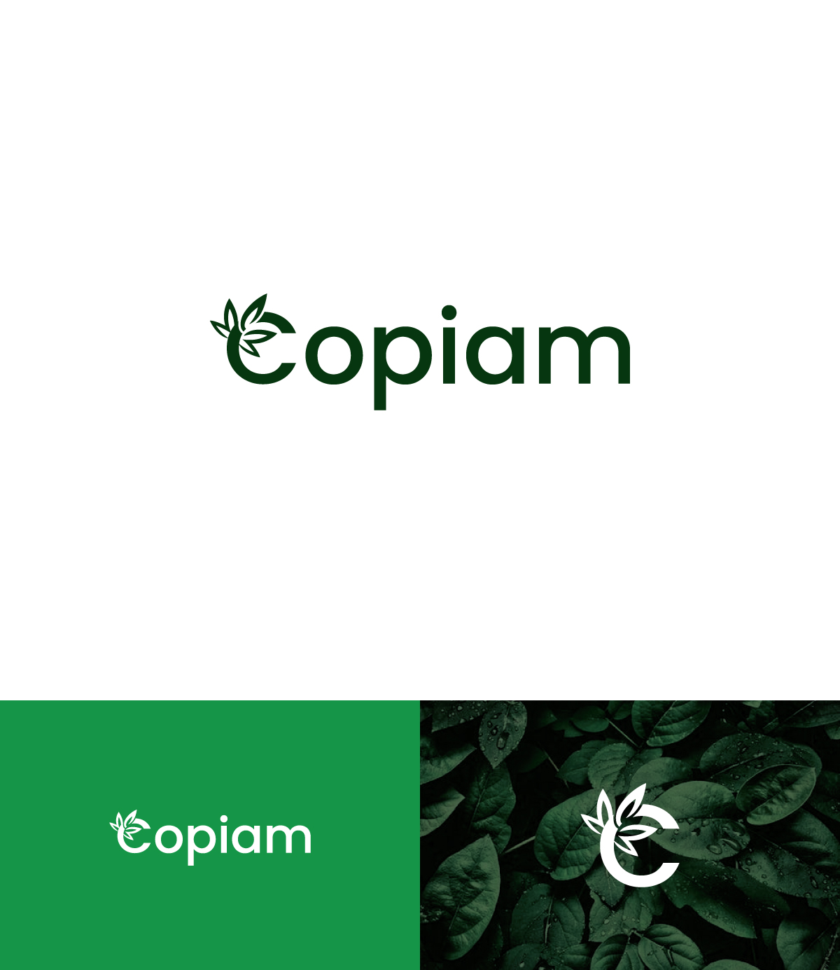 Logo Design by ecorokerz for Copiam, LLC | Design #27092270