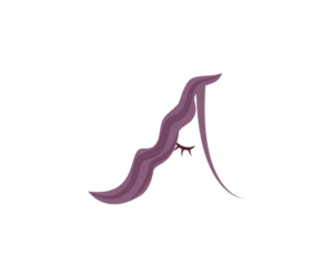 Logo Design by Andrés Sebastián for this project | Design #27127579