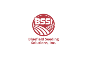 BSSI | Logo Design by k.a.n