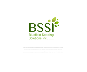 BSSI | Logo Design by Ng V Duc