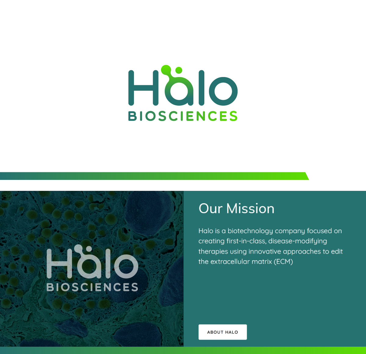 Logo-Design von Fat Bat Man für Halo Biosciences | Design #27120157