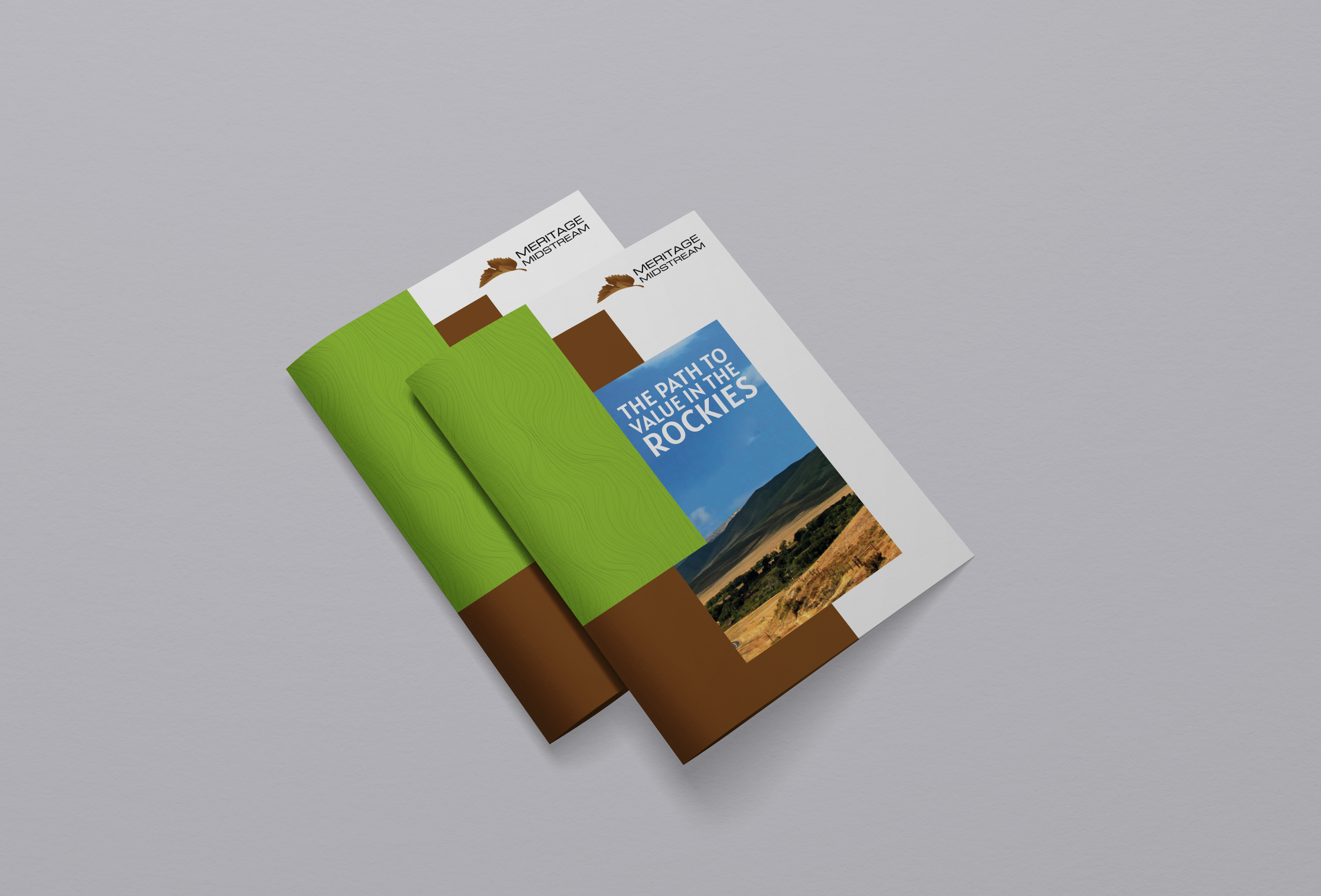 Brochure Design by hema dhawan for this project | Design #27133837