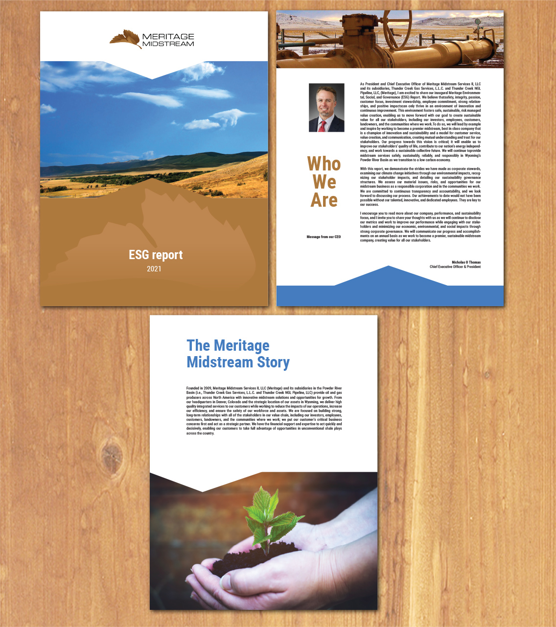 Diseño de Brochure por MNM para este proyecto | Diseño #27115974