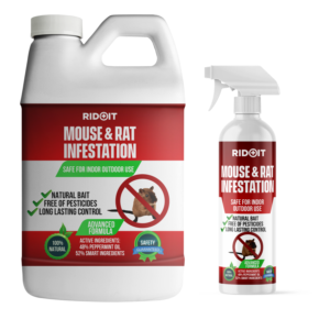 Packaging Design by Sergio Coelho for this project | Design: #27117452