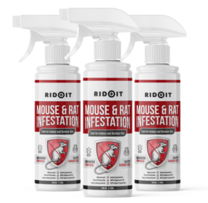 Packaging Design by SAI DESIGNS for this project | Design: #27128164