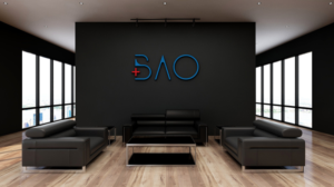 The name of the company is BAO | Logo Design by MagicMan 3