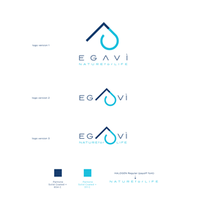 Logo Design by ds | designstructure for EGAVÌ SRL | Design: #28654458