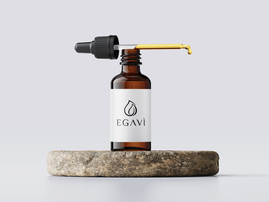 Logo Design by hoaihoai for EGAVÌ SRL | Design #27143951