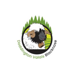 Doddington Valais Blacknose | Logo Design by delegacydesign