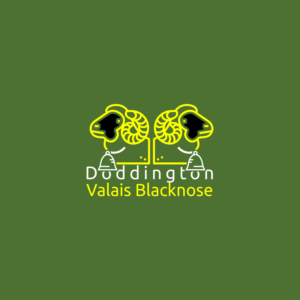 Logo Design by damian