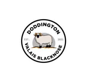 Doddington Valais Blacknose | Logo Design by NILDesigns