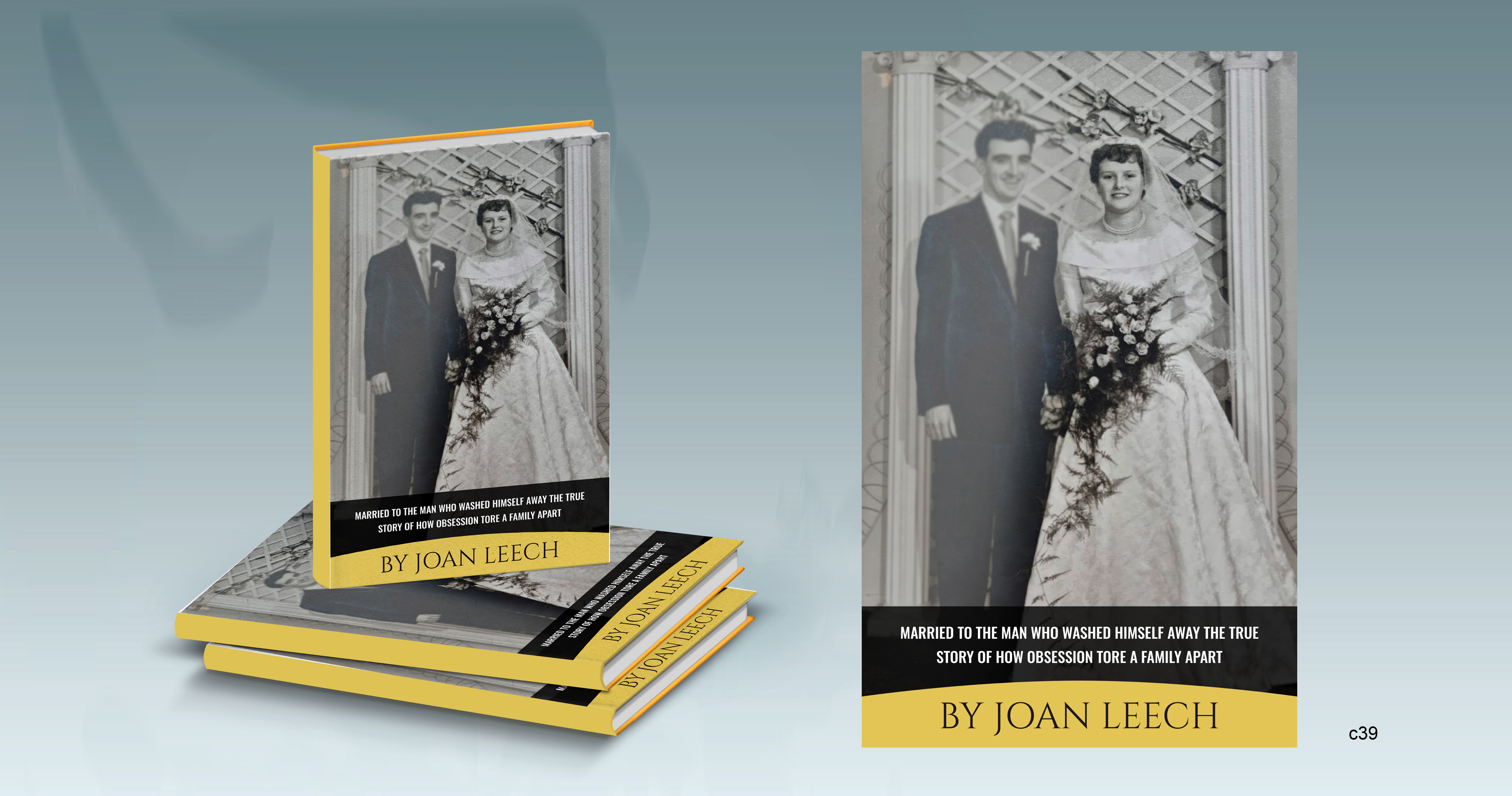 Book Cover Design by pb for McGeary Media | Design #27121992