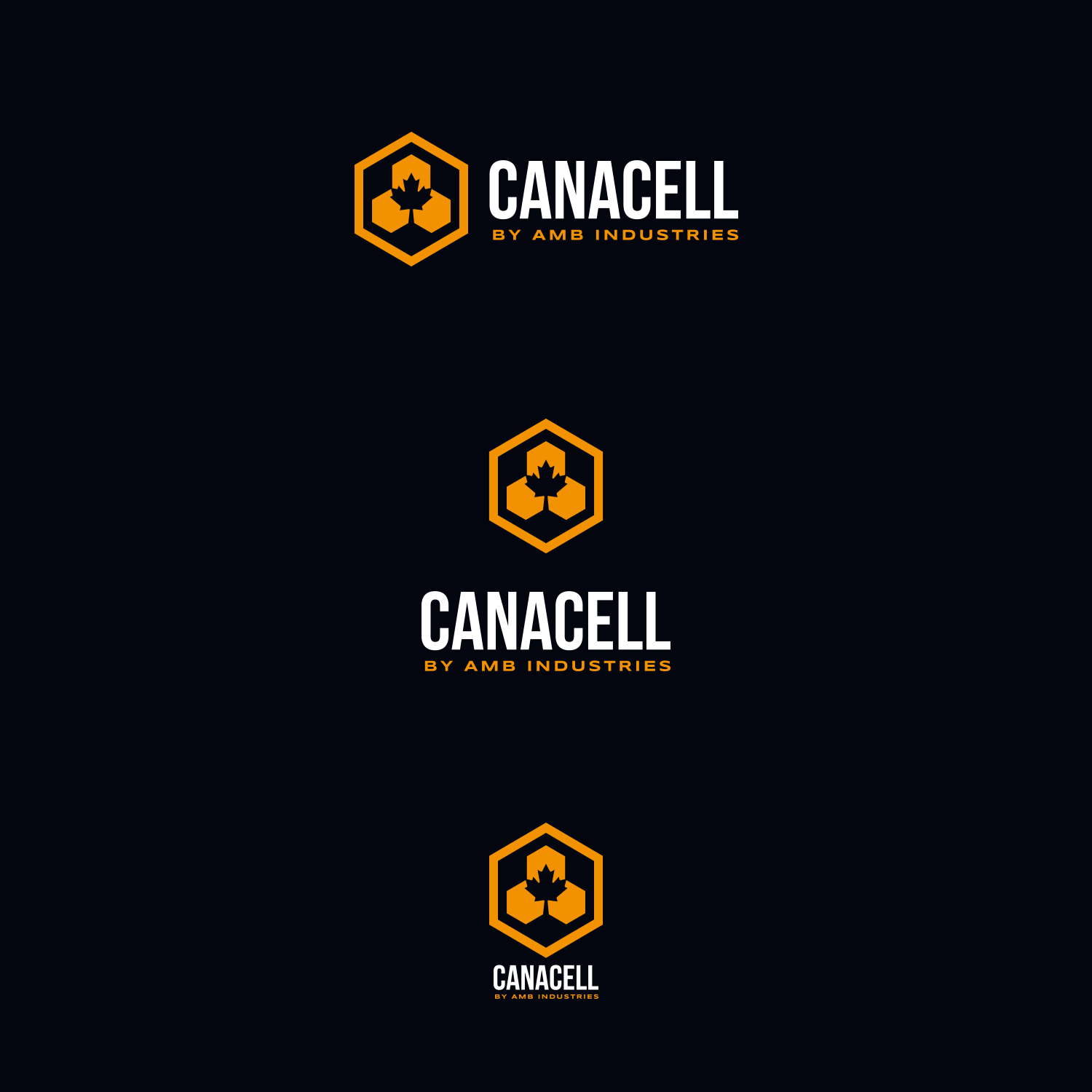 Logo Design by Oleksandr Tovarkov for this project | Design #27124491