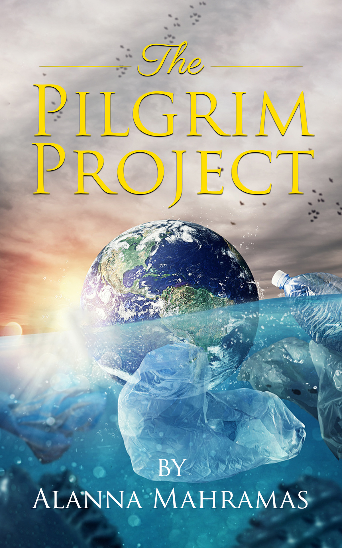 Design de Couverture de Livre par CreaTVIT pour ce projet | Design #27133901