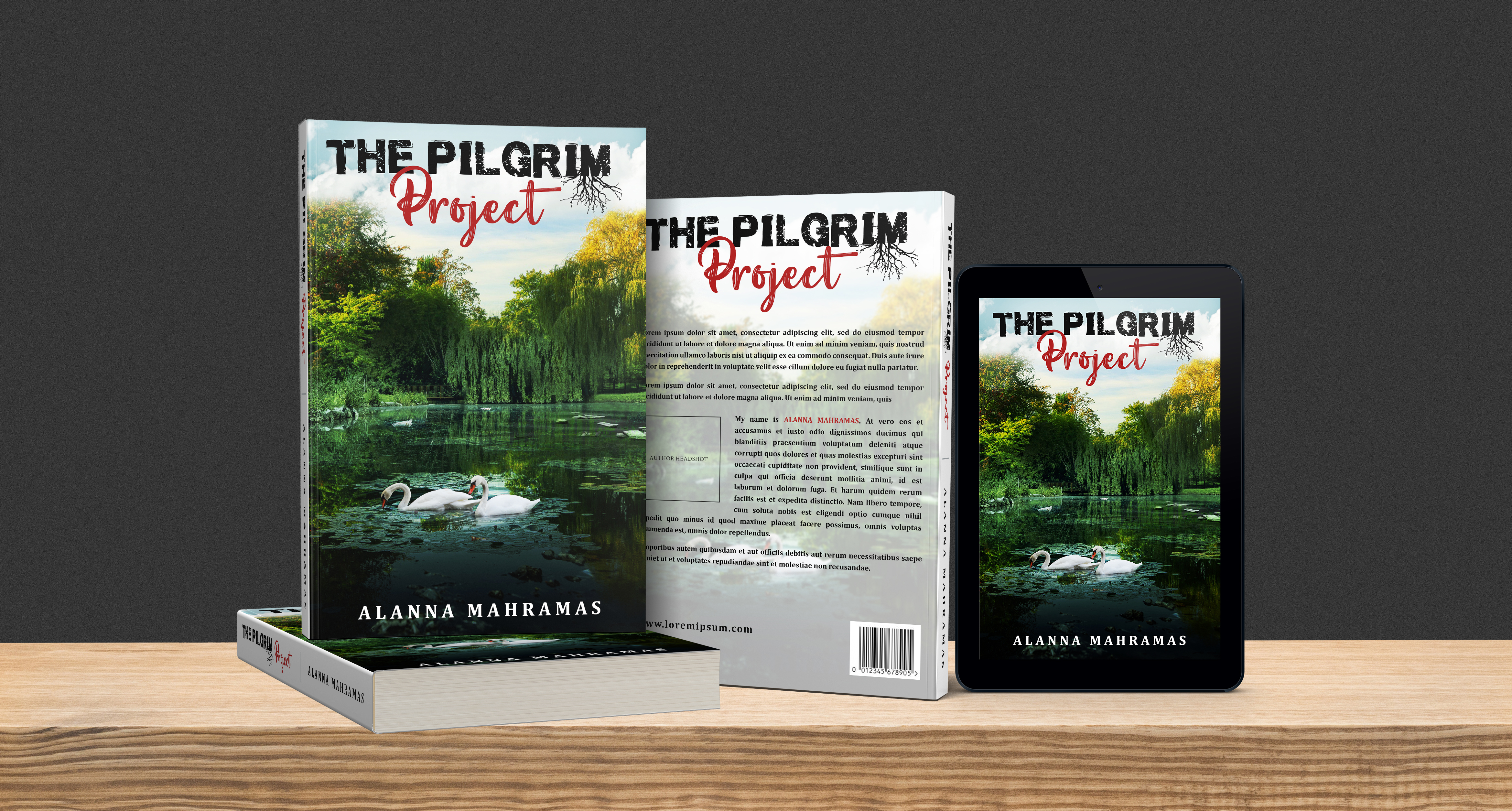 Book Cover Design by Eclipse Creative for this project | Design #27146083