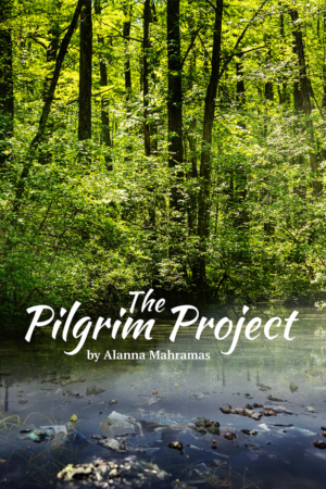 Digital Book Cover - Beautiful Pond with Trash in It | Design de Couverture de Livre par MNM