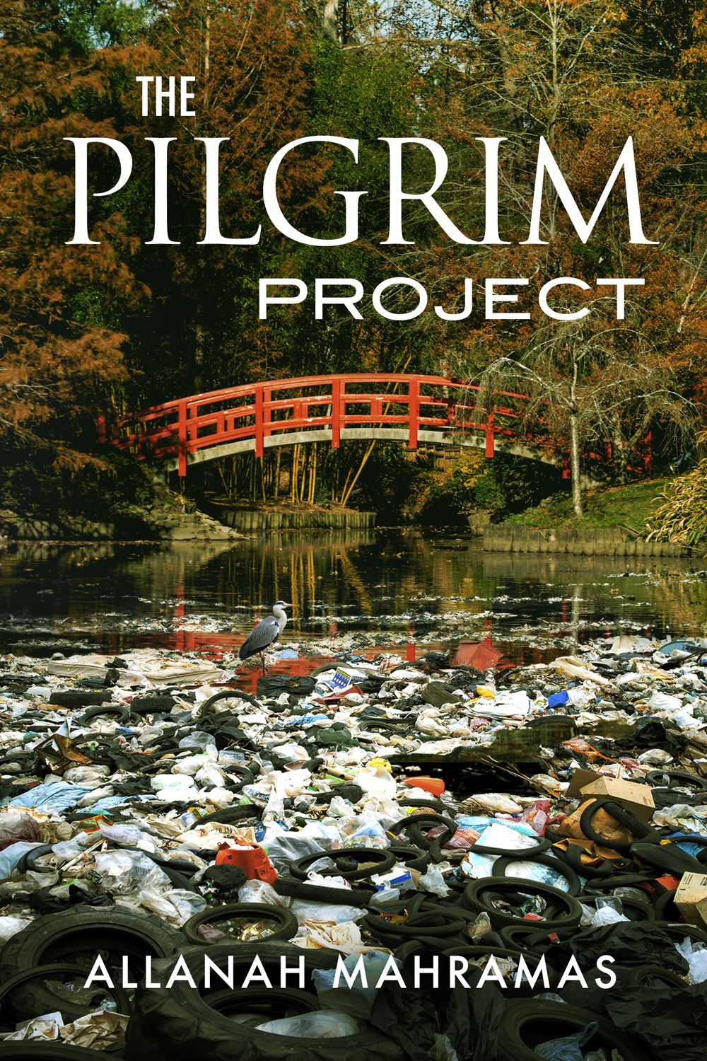 Book Cover Design by illuminati-design for this project | Design #27150504