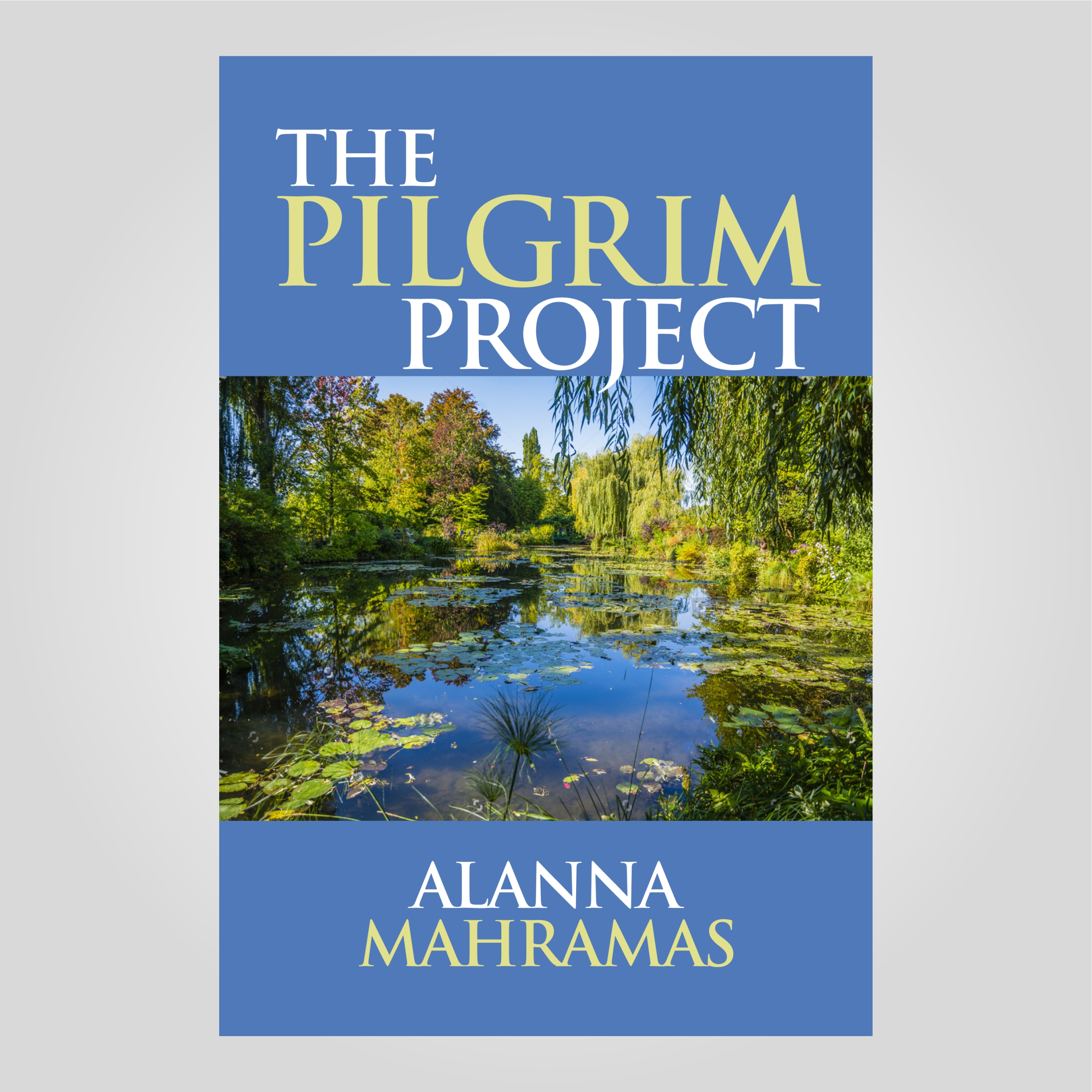 Buchumschlag Design von DesignART für dieses Projekt | Design #27127217