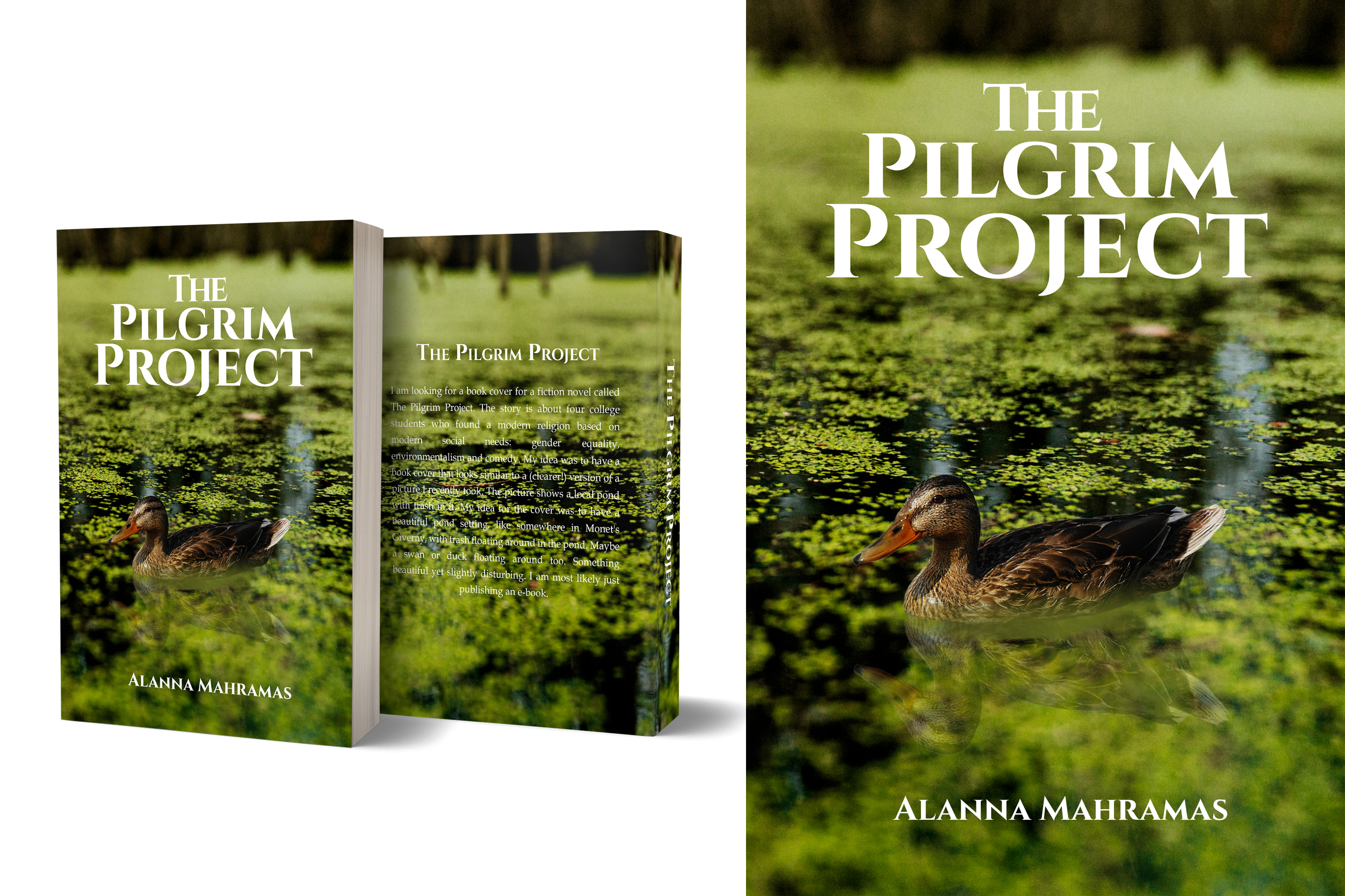 Book Cover Design by aj for this project | Design #27155085