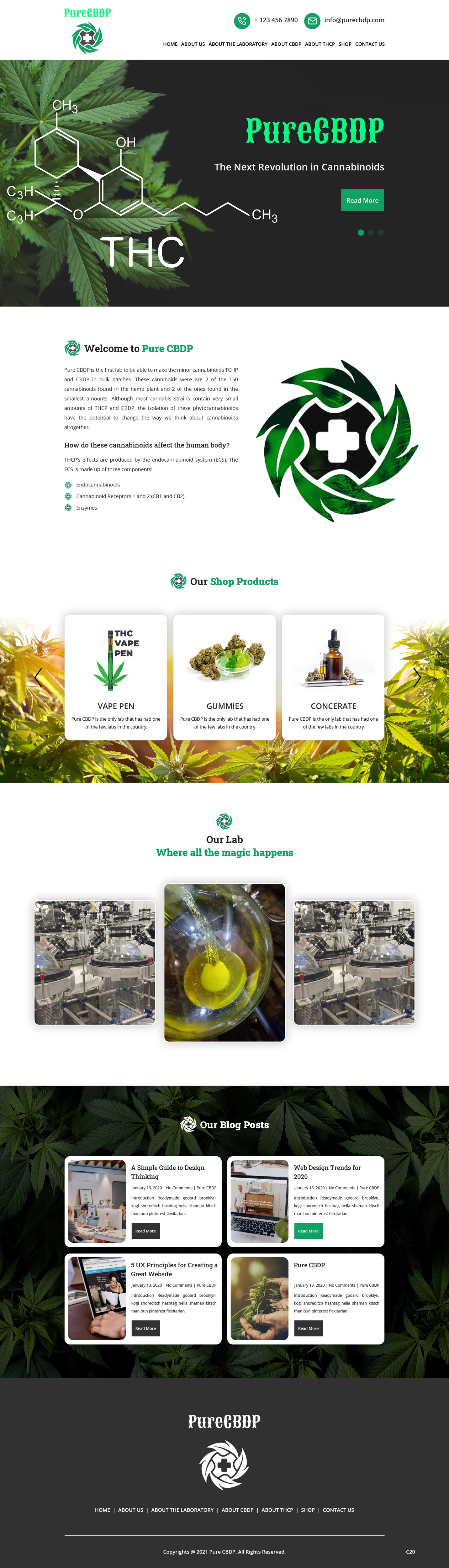 Web Design by pb for Sandstone Springs Labs, LLC | Design #27132947