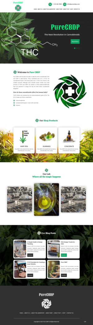 Web Design by pb for Sandstone Springs Labs, LLC | Design: #27132947