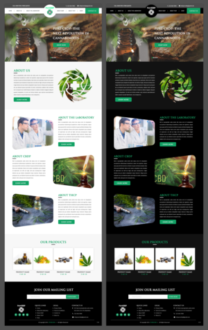Web Design by pb for Sandstone Springs Labs, LLC | Design: #27132955