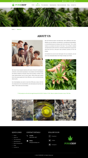 Web Design by Sbss for Sandstone Springs Labs, LLC | Design: #27197707