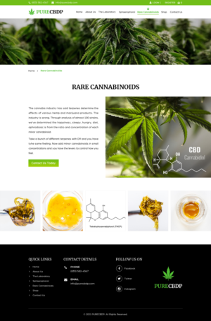 Web Design by Sbss for Sandstone Springs Labs, LLC | Design: #27197710