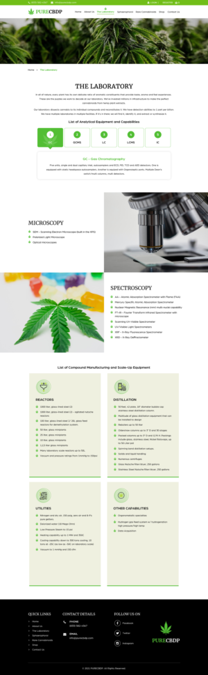 Web Design by Sbss for Sandstone Springs Labs, LLC | Design: #27197716