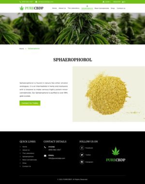 Web Design by Sbss for Sandstone Springs Labs, LLC | Design: #27256797