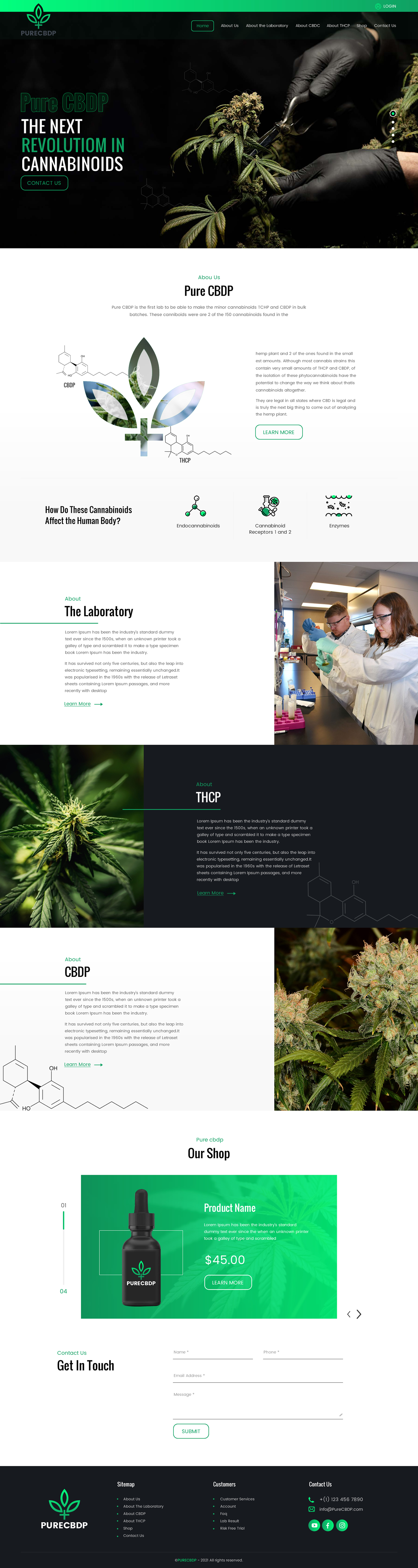 Web-Design von rightway für Sandstone Springs Labs, LLC | Design #27139659