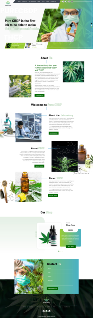 Web Design by rightway for Sandstone Springs Labs, LLC | Design: #27139662