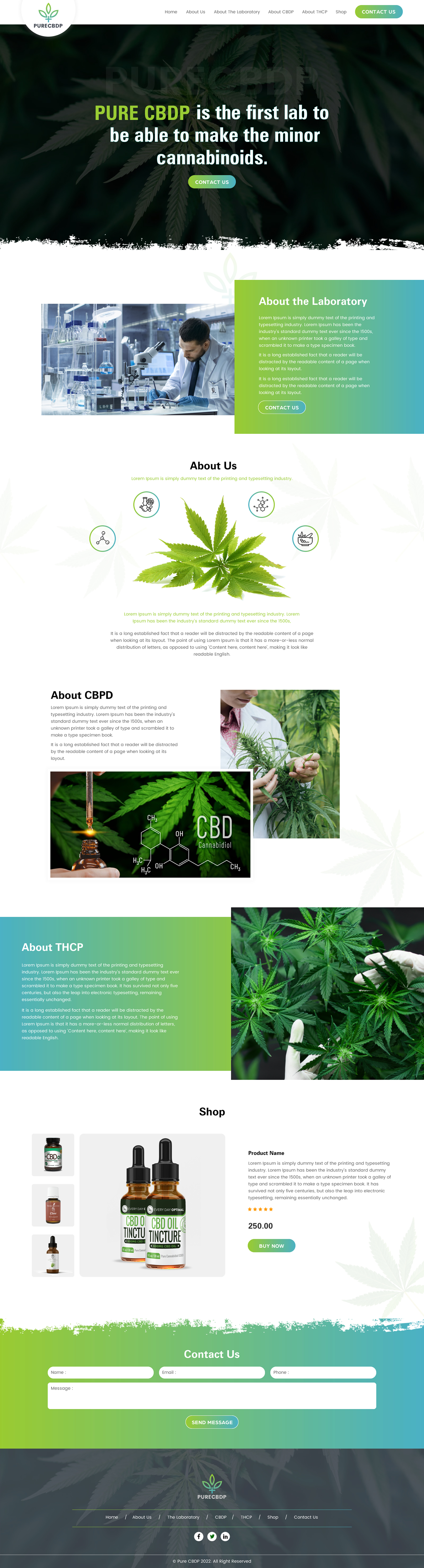 Web Design by rightway for Sandstone Springs Labs, LLC | Design #27139664