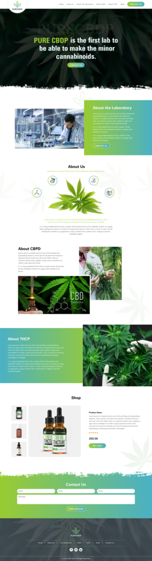 Web Design by rightway for Sandstone Springs Labs, LLC | Design: #27139664