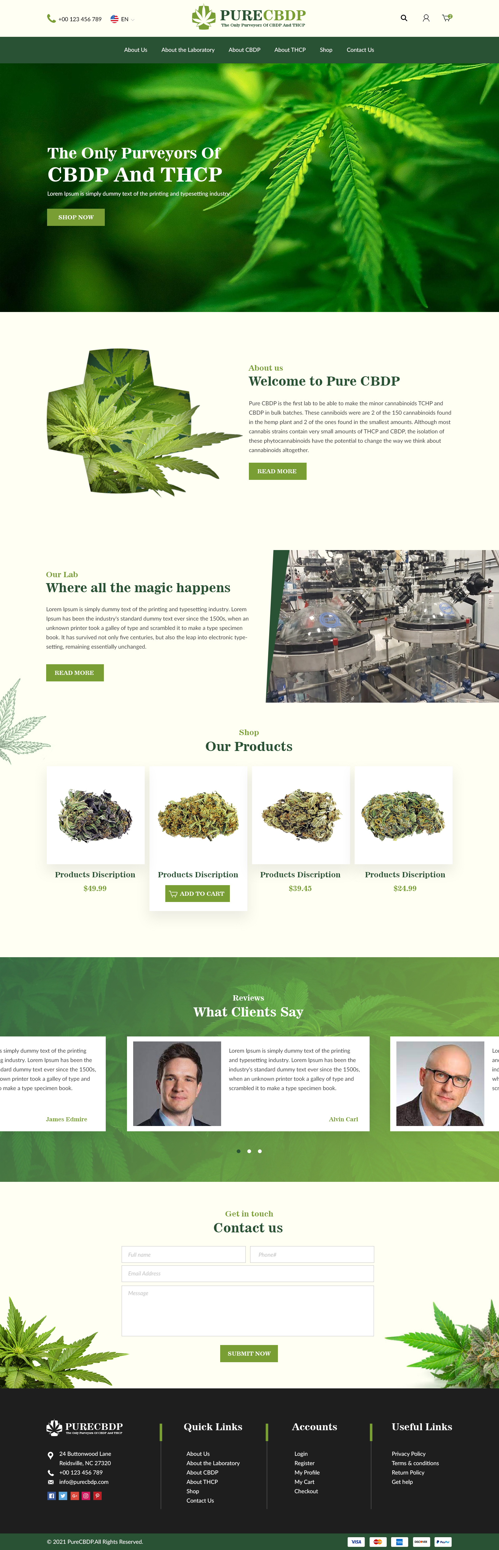 Web-Design von bdesigner9 für Sandstone Springs Labs, LLC | Design #27134151
