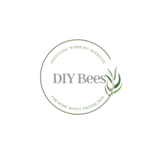 Logo Design by ThiagoB for this project | Design: #27144033