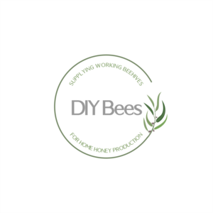 Logo Design by ThiagoB for this project | Design: #27144034