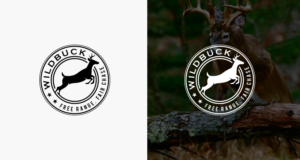 Diseño de Logo por step forward 2 para este proyecto | Diseño: #27135263