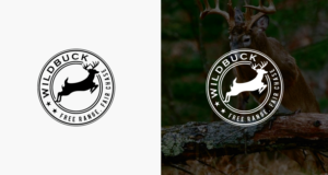 See attached items. | Design de Logo par step forward 2