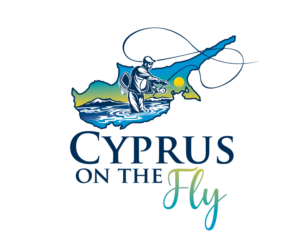 Logo Design by blue eye