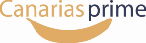Logo Design by Capstone FCS