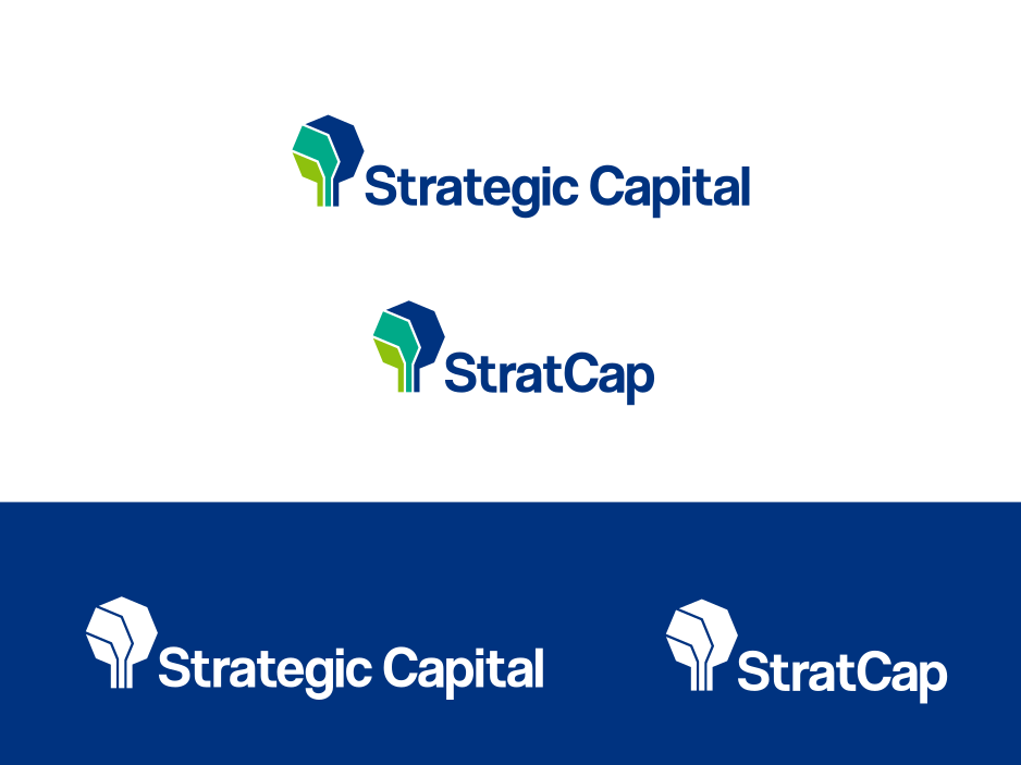 Design de Logo par Mirela78 pour SC Distributors | Design #27161083